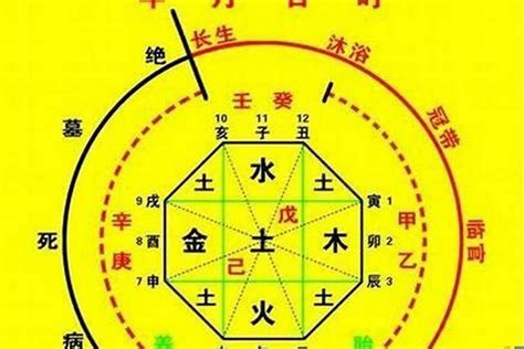 日主五行为水|什么样的八字喜水 – 八字喜水人的特征